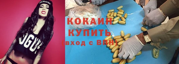 винт Алзамай