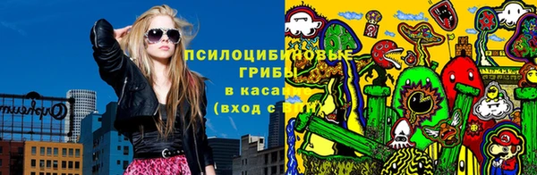 винт Алзамай