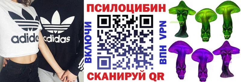 Псилоцибиновые грибы GOLDEN TEACHER  Скопин 